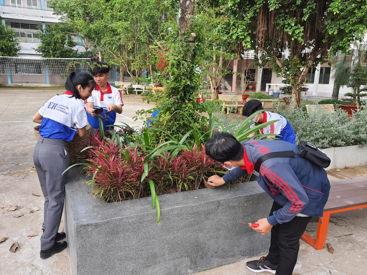 cá cược thể thao hul city